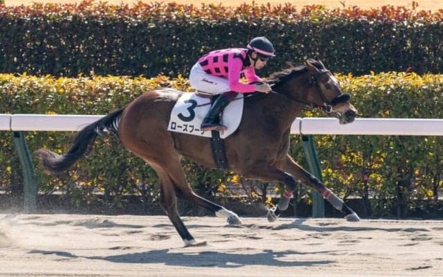 【新馬/東京3R】アジアエクスプレス産駒 ローズブーケがデビューV
