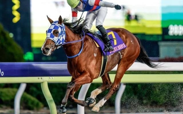 【浦和・ユングフラウ賞枠順】4連勝中のアンジュルナは8枠12番