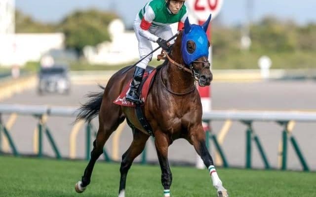 中山記念、チューリップ賞など3重賞/今週の競馬界の見どころ