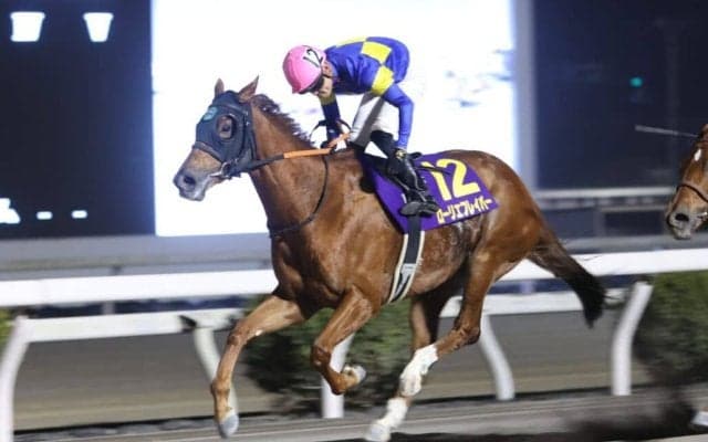 【高知・レジーナディンヴェルノ賞】大井ローリエフレイバーが重賞4勝目