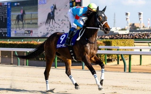 【フェブラリーS】1番人気ダブルハートボンドは3着…坂井瑠「改めて力を感じた」レース後ジョッキーコメント