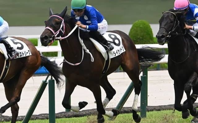 【チューリップ賞見どころ】レースキャリア豊富のタイセイボーグに注目