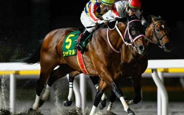 【名古屋・かきつばた記念注目馬】かしわ記念やさきたま杯につながるレース 好メンバーの戦いを制すのは