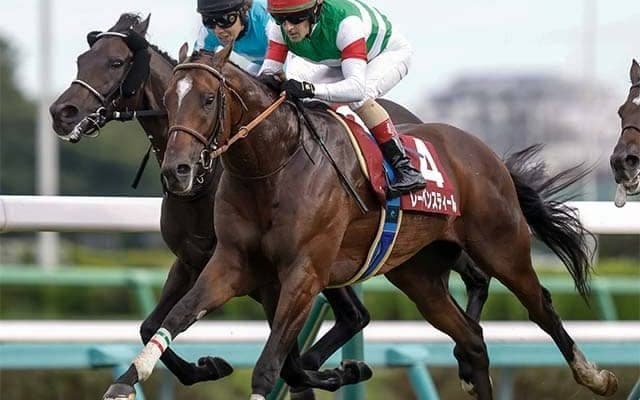 【中山記念想定騎手】レーベンスティールは戸崎騎手、エコロヴァルツは横山武騎手