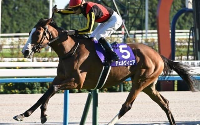 【AI予想・中山記念】開幕週を生かせる馬にチャンスあり!? 人工知能が導き出した条件好転で一変期待の本命候補3頭