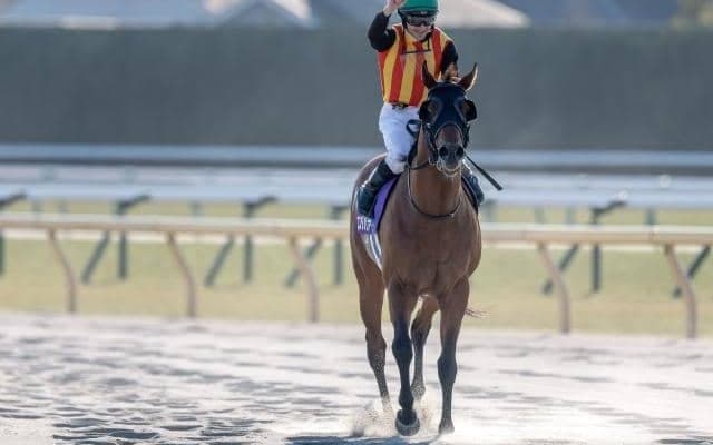 フェブラリーS連覇を果たしたコスタノヴァ 近年のトレンドに合致した血統構成とは