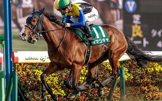 【オーシャンS想定騎手】ママコチャは川田騎手、ルガルは鮫島駿騎手