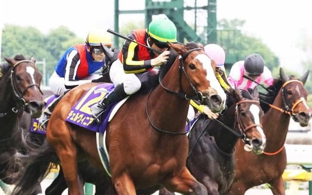 【中山記念／危険な人気馬】実績最上位に“勝率0％”の壁　「0.3.1.7」と「0.1.0.27」が物語るマイナス要素ずらり