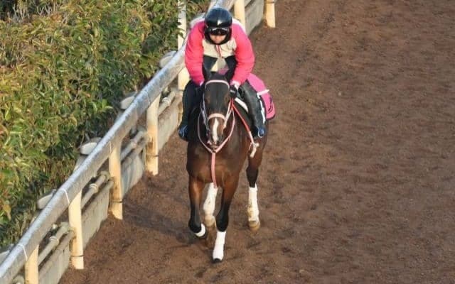 バルセシートなど、先週の入厩情報/栗東トレセンニュース