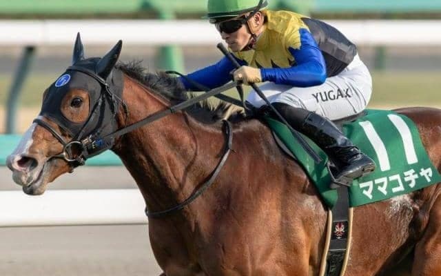 【オーシャンS】レース史上初の連覇へ ママコチャが始動戦だ