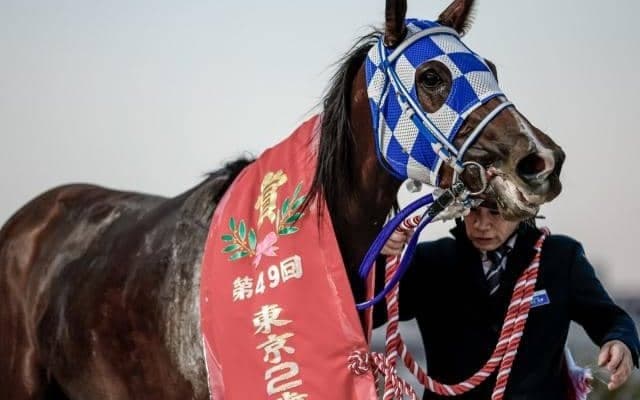 【浦和・ユングフラウ賞注目馬】南関東牝馬三冠の前哨戦 桜舞台への切符を手にするのは