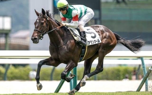 【チューリップ賞予想オッズ】アランカールが予想1番人気