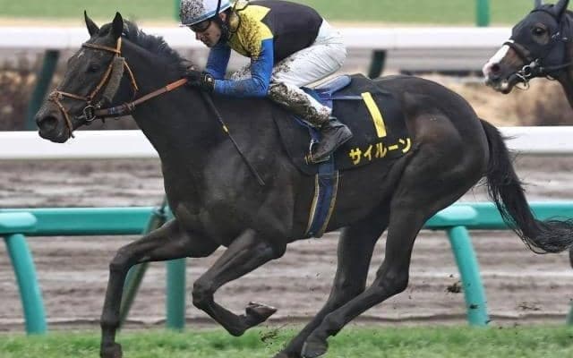 【中山記念】ディープインパクト産駒が17年連続のJRA重賞制覇へ 良血サイルーンが一発狙う