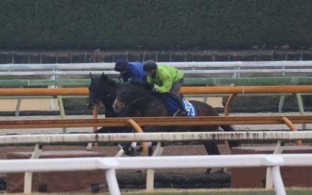 ケリフレッドアスク、中山牝馬S1週前追い切り速報/栗東トレセンニュース