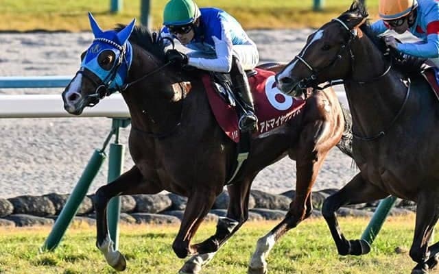 【弥生賞想定】アドマイヤクワッズやパントルナイーフなど11頭