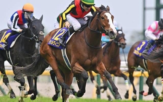 【中山記念予想】AIが弾き出した“妙味ある上位人気馬” 巻き返しを狙える1頭とは？