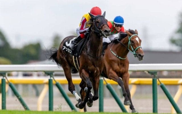 英ダービーに日本馬が登録