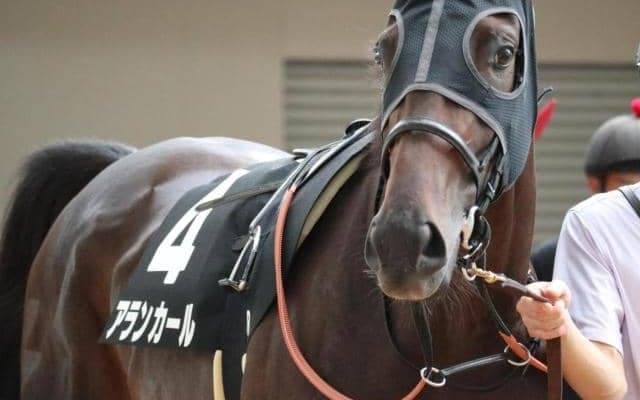 武豊騎手と新コンビのアランカール チューリップ賞初の母仔制覇狙う