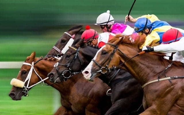 【中山記念／全頭診断】前走GI組なら断然セイウンハーデス　“3着穴”妙味は前走馬券外の7歳馬