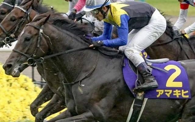 名牝アパパネの産駒2頭 国枝調教師のラストウイークを勝利で飾るか