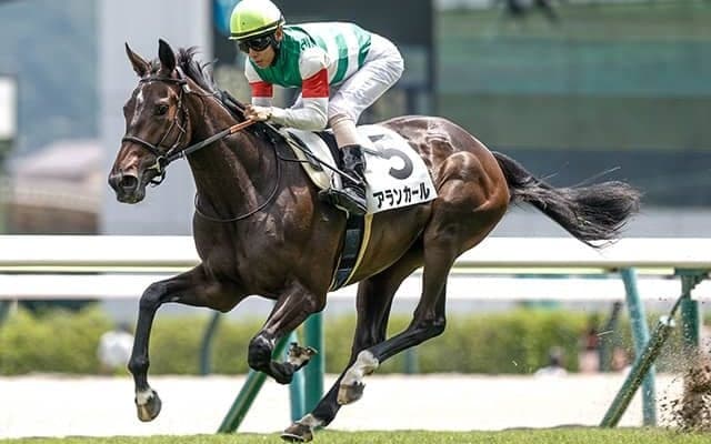 【チューリップ賞枠順確定】アランカールは7枠12番、タイセイボーグは7枠13番