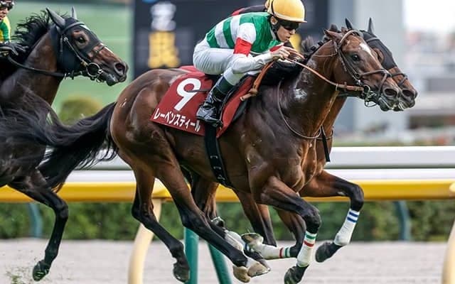 【中山記念枠順確定】レーベンスティールは4枠5番、チェルヴィニアは4枠6番