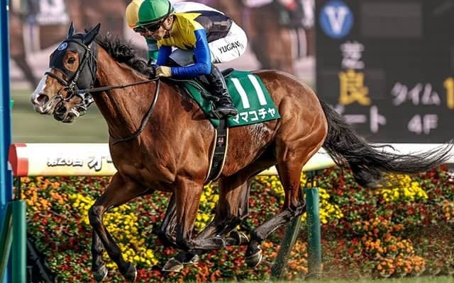 【オーシャンS枠順確定】ママコチャは7枠14番、ルガルは3枠5番