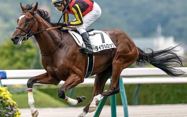 【弥生賞想定馬・騎手】タイダルロック、パントルナイーフなど13頭