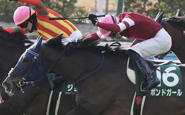 【中山牝馬S想定馬・騎手】ボンドガール、ステレンボッシュなど18頭