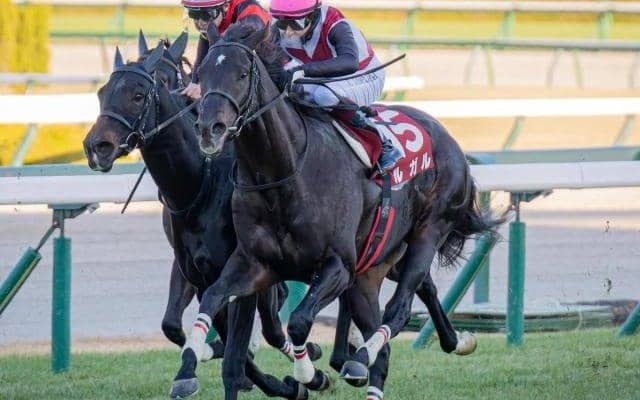 【今日の注目ポイント】オーシャンSにGI馬2頭など好メンバーが集結