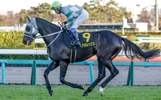 【オーシャンS予想】春のスプリント王へ 実績と適性が交差する前哨戦