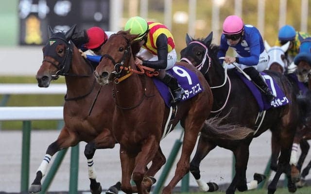 【競馬予想】「３歳牝馬ランキング」　大詰めのクラシック戦線で注視すべき馬はいるか？