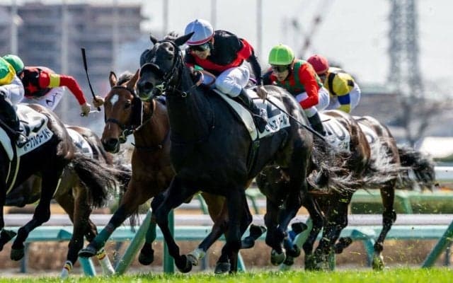 【中山5R】セットエトワールが人気に応え初勝利