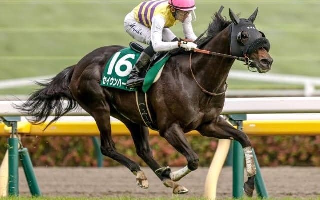 【今日の注目ポイント】中山で中山記念と阪神でチューリップ賞