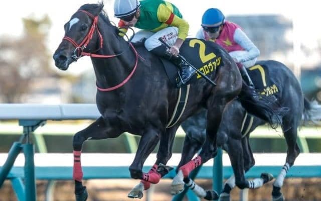 【中山記念予想】傾向を分解すると見えてくる？ 過去データで探るGII中山記念