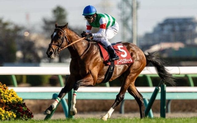 【中山記念】レーベンスティールが貫禄の重賞5勝目