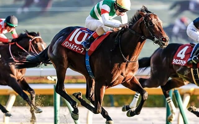 【弥生賞】タイダルロック、パントルナイーフらが登録