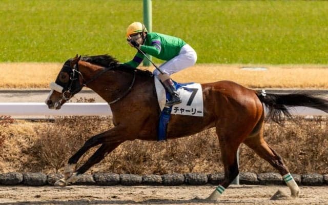 【中山4R】国枝師ラストデーにV…ルメールガッツポーズでゴール