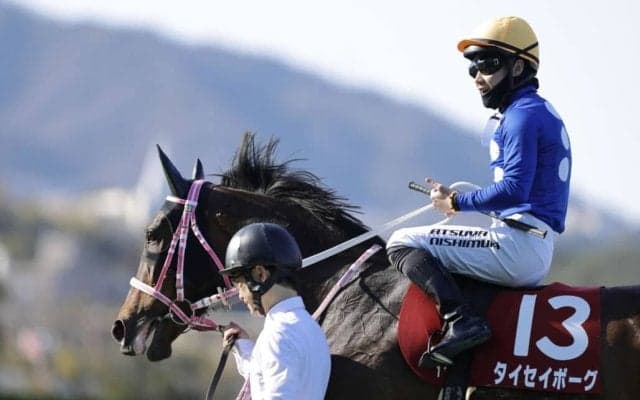 【チューリップ賞】西村淳「切れ味はすごい」タイセイボーグが待望の重賞V