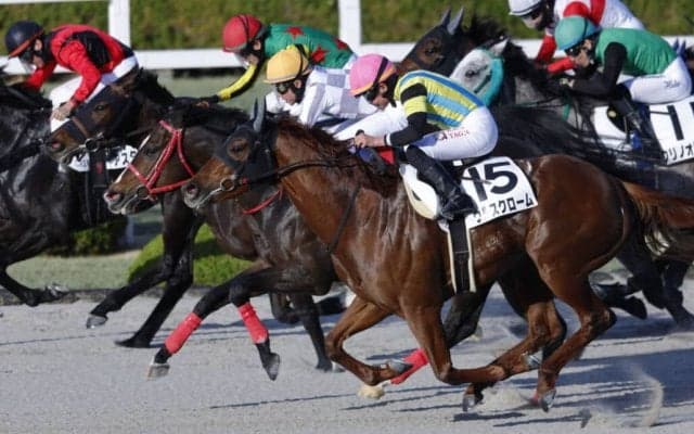 【阪神12R】武豊ボディブローがハナ差競り勝つ