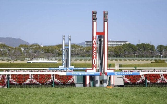 【阪神8R】単勝1.6倍レベルスルールが断然の支持に応える