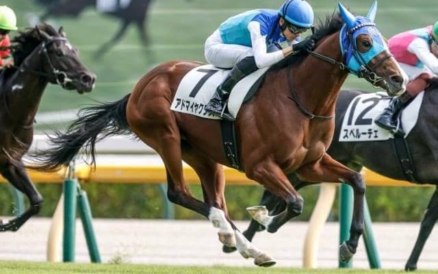 弥生賞、フィリーズレビューなど3重賞/今週の競馬界の見どころ