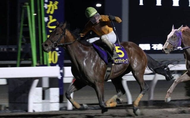 【高知・御厨人窟賞】ブービー人気のジョウショーホープが大金星！3連単510万円超の大波乱