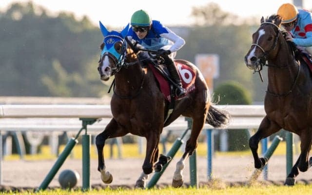 【弥生賞登録馬】アドマイヤクワッズなど12頭