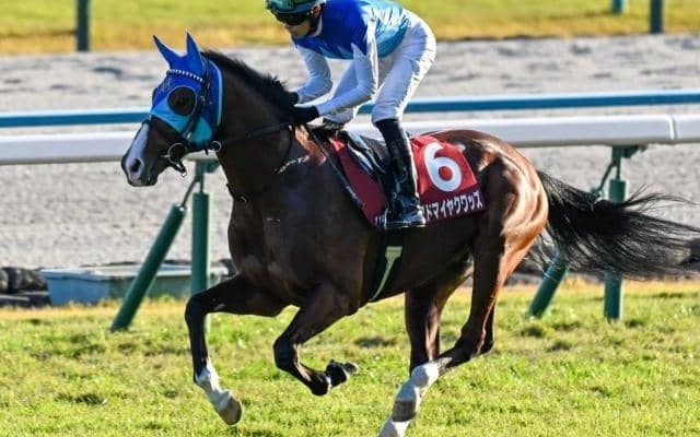 ドウデュースすら勝てなかった「弥生賞の1番人気」 血の後押しを味方にアドマイヤクワッズが勝利なるか