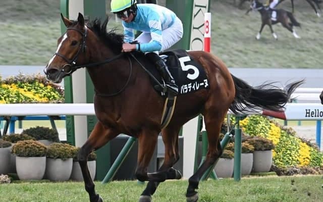 【中山牝馬S見どころ】GI好走のパラディレーヌが重賞初制覇を狙う