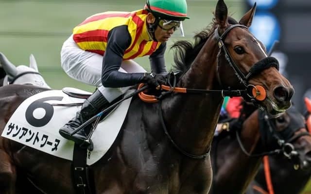 【フィリーズレビュー見どころ】ベストの距離で力を発揮するサンアントワーヌ