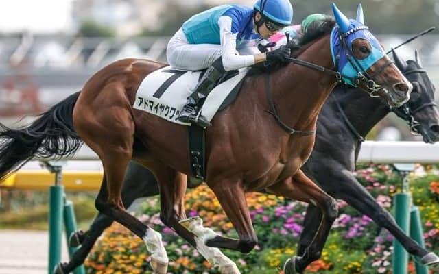 【弥生賞見どころ】前走で能力の高さを再認識できたアドマイヤクワッズ