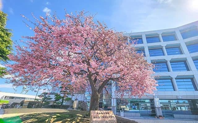 今年の新規開業厩舎を紹介 今週7名の調教師がデビュー