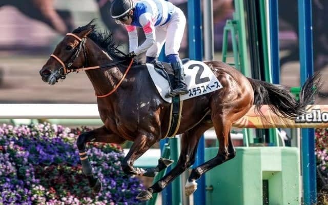 【AI予想・弥生賞】能力の底を見せていないことが好走条件!? ポテンシャルや適性の高さを感じる人工知能の本命候補